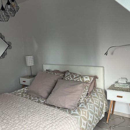 Studio Strasbourg Niederhausbergen Luaran gambar